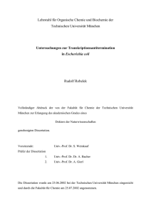 Untersuchungen zur Transkriptionsantitermination in Escherichia coli