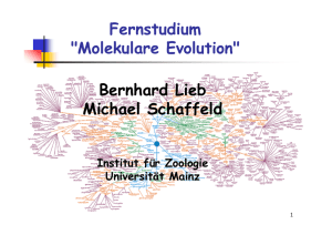 Fernstudium "Molekulare Evolution" Bernhard Lieb Michael Schaffeld