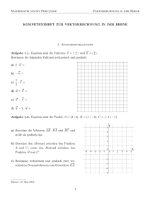 Mathematik macht Freu(n)de Vektorrechnung, I KOMPETENZHEFT