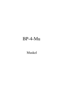 BP-4-Mu