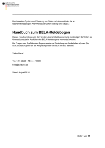 Handbuch zum BELA-Meldebogen