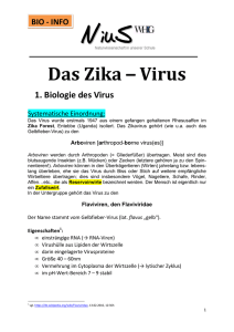 Das Zika - Virus NiuS