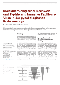 Molekularbiologischer Nachweis und Typisierung humaner Papilloma