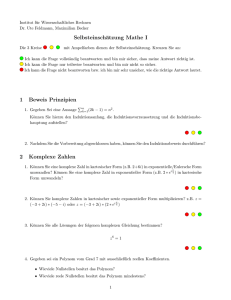 Selbsteinschätzung Mathe I 1 Beweis Prinzipien 2 Komplexe Zahlen