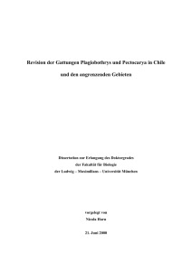 Revision der Gattungen Plagiobothrys und Pectocarya in Chile und