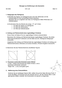 Übungen zur Einführung in die Geometrie SS 2002 8./9. Juli Blatt 12
