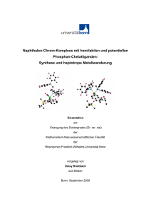 pdf-Dokument - Universität Bonn