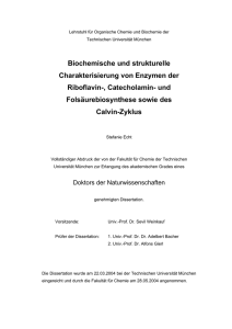 und Folsäurebiosynthese sowie des