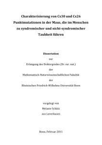 pdf-Dokument - Universität Bonn