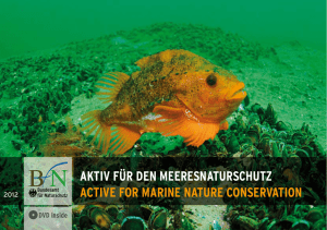 Aktiv für den Meeresnaturschutz / Active for marine nature