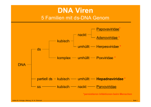 DNA Viren