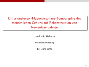 Diffusionstensor-Magnetresonanz-Tomographie des menschlichen