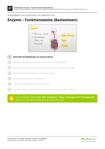 Enzyme – Funktionsweise (Basiswissen)