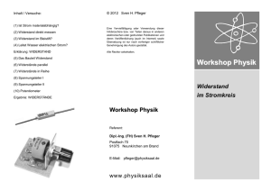 Workshop Physik