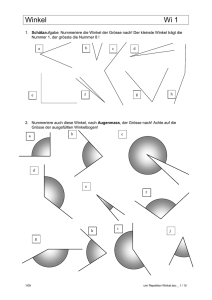 Winkel Wi 1