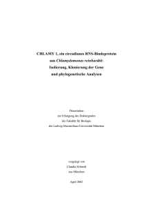 (A) (B) - Elektronische Dissertationen der LMU München