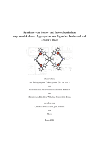 pdf-Dokument - Universität Bonn