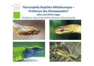 Thermophile Reptilien in Deutschland