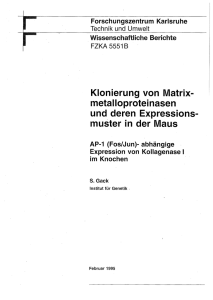 Klonierung von Matrix- metalloproteinasen und deren Expressions