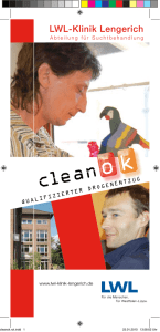 Flyer Cleanok