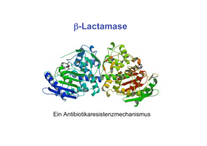 β-Lactamase