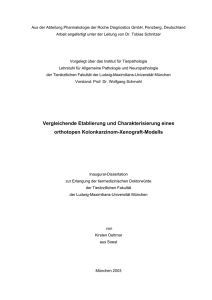 T - Elektronische Dissertationen der LMU München