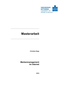 Markenmanagement im Internet - MOnAMi