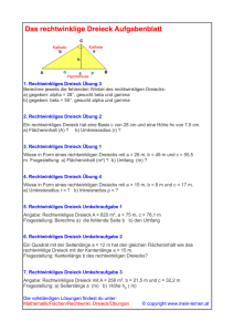 Das rechtwinklige Dreieck Aufgabenblatt