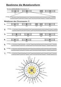 U¨bung zu Mutationen.cdr - xn--jrn-online