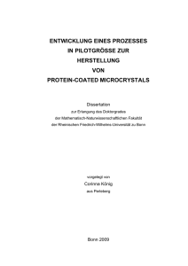 pdf-Dokument - Universität Bonn