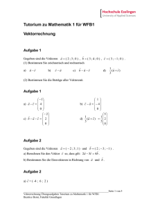 Tutorium zu Mathematik 1 für WFB1 Vektorrechnung