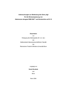 pdf-Dokument - Universität Bonn