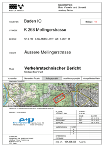 Verkehrstechnischer Bericht (PDF, 17 Seiten, 1.8 MB)