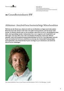 Alzheimer: Amyloid-beta beeinträchtigt Mitochondrien