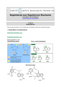 Begleitskript zum Repetitorium Biochemie - Biochemie