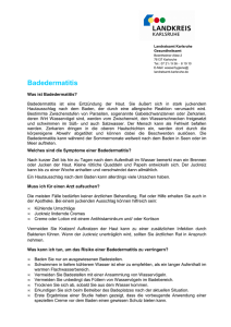 PDF: 115 KB - Landkreis Karlsruhe