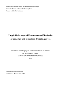 Polyploidisierung und Zentrosomamplifikation im entzündeten und