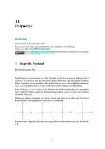 Polynome - Jörn Loviscach