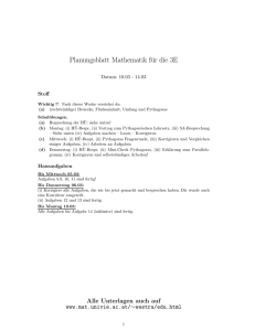 Planungsblatt Mathematik für die 3E