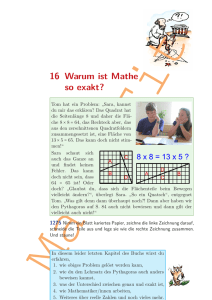 16 Warum ist Mathe so exakt?