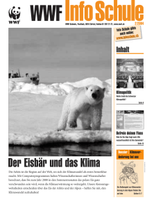 Der Eisbär und das Klima