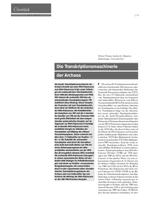 Die Transkriptionsmaschinerie der Archaea