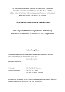 Genexpressionsanalyse am Mammakarzinom: Eine vergleichende