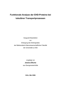 full text - Universität zu Köln