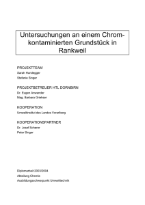 Diplomarbeit - Land Vorarlberg