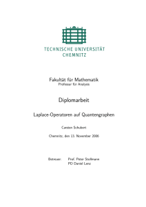 Laplace-Operatoren auf Quantengraphen