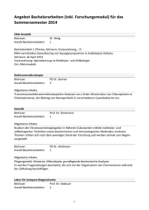 Angebot Bachelorarbeiten