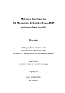 Molekulare Grundlagen der Rab-Manipulation der Proteine DrrA