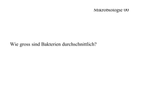 Mikrobiologie 00 Wie gross sind Bakterien durchschnittlich?