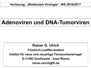 Ulrich_Adeno-DNA-Tumorviren_WS2016 4 MB